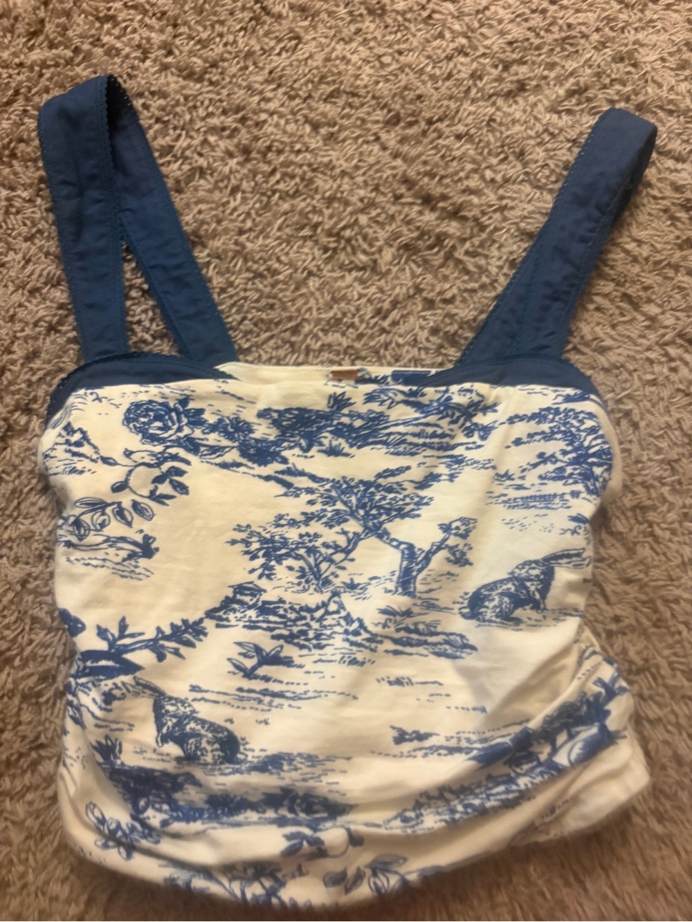 Free People Blue and White Toile Tank Top